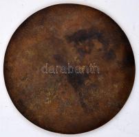 Lebó Ferenc (1960-) DN "Szent István" Br plakett (141mm) T:1-,2