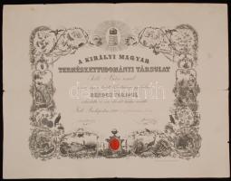 1900 Díszoklevél: A Királyi Magyar Természettudományi Társulat Solti Béla urat rendes tagjául választotta. 49x66cm