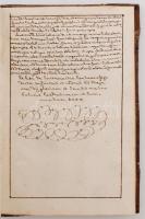 1758 Szakolca, Flores caeremoniarum et controversiarum Catholicarum seu ponderosae rationes ob quas ...