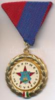 ~1970. Veszprém Megyéért arany fokozatának hidegzománcozott kitüntetése, mellszalagon tokban T:1-