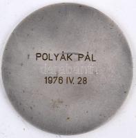 1976. "Csepel Vas- és Fémművek - Kiemelkedő Munkavédelmi Tevékenységért" ezüstözött Br pla...