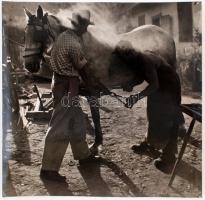 cca 1960 Dezső Pál (Kecskemét): Patkolás, aláírt vintage fotóművészeti alkotás, 30x30 cm