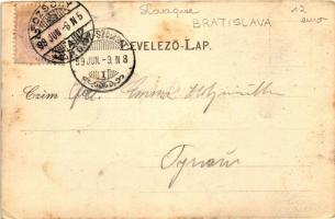 1899 Pozsony, Bratislava; Edgar Schmidt art postcard