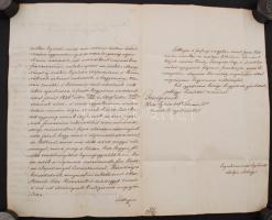 1848 Győr vármegyei jobbágyok felirata V. Ferdinánd magyar király (1830-1848) részére örökösödési üg...