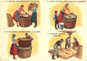 Magyar mezőgazdasági propaganda, gabona csávázás, Klösz / Hungarian agricultural propaganda, seed treatment, Klösz