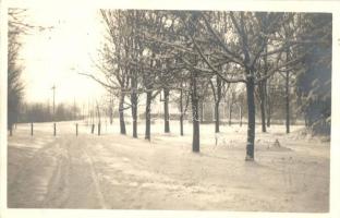 Székelyudvarhely, Sétatér télen, Kovács István fényképész felvétele / park in winter, photo 'Székelyudvarhely visszatért' So. Stpl