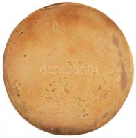 DN "Gróf Széchenyi István" Br plakett, jelzett Berán kópia (71mm) T:2 anyaghiba