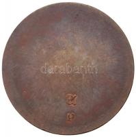 Peternák Gusztáv (1928-) ~1980. "Esztergom Városgazdálkodási Vállalat" Br emlékérem (45mm)...