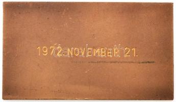 Csúcs Viktória (1934-1993) DN "Országos Hadtörténelmi Múzeum Budapest" Br emlékplakett (79...