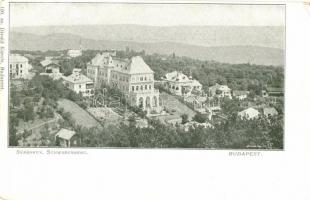 Budapest XII. Svábhegy, Nagy szálloda; Divald Károly (EK)