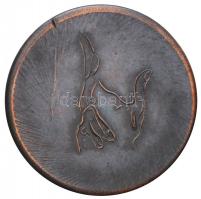 Szabó Ferenc (1944-) 1983. "Korvin Ottó Ált. Gimnázium Sümeg 1983" Br emlékérem (48mm) T:2...