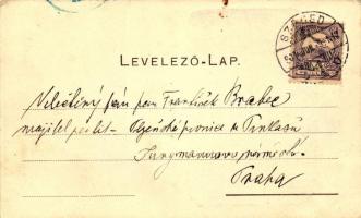 Szeged, Kultúrpalota; kiadja Traub B. és társa