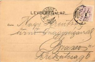 1899 Szeged, Híd utca, leányiskola, a Szegedi Napló palotája; floral, kiadja Engel Lajos könyvnyomdá...