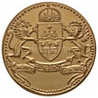 Ifj. Szlávits László (1959-) DN "Budapest Fővárosi Tűzoltóság / Szent Flórián" aranyozott ...