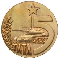 Peternák Gusztáv (1928-) 1976. "Tata 15 (éve) / A szocialista haza szolgálatában 1961-1976 MN" aranyozott Br emlékérem (60mm) T:2