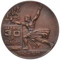 Peternák Gusztáv (1928-) 1975. "Komárom megyei Vasas Sportnap / Hazánk 30 éve szabad 1945-1975" Br emlékérem (60mm) T:2,2-