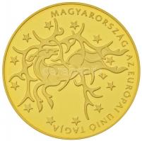 2004. 50.000Ft Au "Magyarország az Európai Unió tagja" tanúsítvánnyal (13,964g/0.986) T:PP...