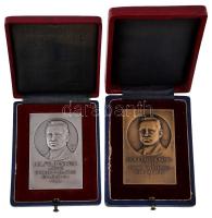 Berán Lajos (1882-1943) 1932. "Holfeld Henrik a BBTE örökös m. elnöke emlékének 1932 / B.B.T.E....