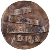 Kiss Kovács Gyula (1922-1984) 1966. "III. Miskolci Filmfesztivál 1966" Br emlékérem (97mm)...