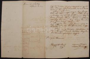 1829 A Kerekes család családfája, Kézzel rajzolva, az egyik rokon kísérő szövegeivel