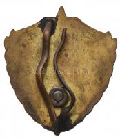 ~1970. "Egység Bajnokság" zománcozott fém jelvény T:2