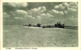 Kansas, Harvesting wheat