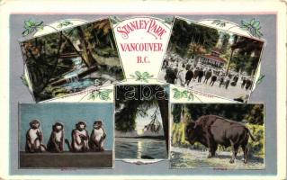 Vancouver, Stanley park, monkeys, Buffalo, Band concert, floral (EK)