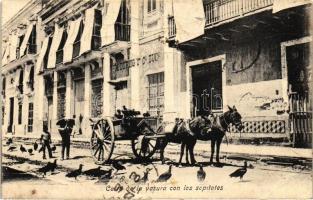 Veracruz, Carro de la vasura con los sapilotes / trash cart, shop (EB)