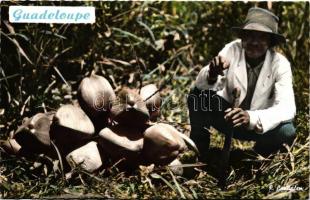 1955-1965 Guadeloupe - 6 interesting postcards