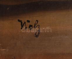 Wely jelzéssel: Női portré. Olaj, vászon, jelzett, apró festék hibákkal, 44×39 cm