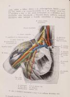 Steiner Pál: Sebészeti műtéttan. Bp., 1916, Franklin. Kicsit kopottas félvászon kötésben, egyébként ...