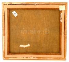 Olvashatatlan jelzéssel: Házak a domboldalon. Olaj, vászon, keretben, 48×56 cm