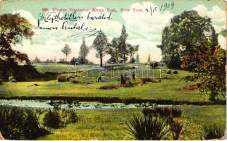 New York, Bronx Park, Flower Plantation (fa)