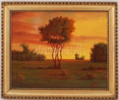 Olvashatatlan jelzéssel: Naplemente, olaj, fa, díszes keretben, 38,5×48,5 cm