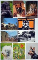 Kb. 200 db MODERN motívumlap; állatok / Approx 200 modern motive cards; animals
