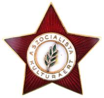 ~1970. "A Szocialista Kultúráért" aranyozott, zománcozott kitüntetés nem eredeti tokban T:2