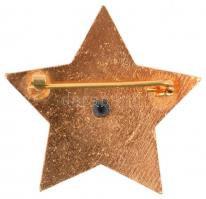 ~1970. "A Szocialista Kultúráért" aranyozott, zománcozott kitüntetés nem eredeti tokban T:...