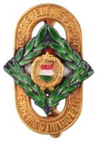 ~1960. "Testnevelés és Sport Érdemes Dolgozója" aranyozott, zománcozott fém jelvény eredeti tokban T:1