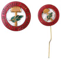 ~1960-1970. "A Kisipari Szövetkezet Kiváló Dolgozója" kitűntentő jelvény miniatűrrel nem eredeti tokban T:2