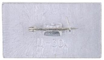 Szovjetunió ~1970. "AH-26B" repülős jelvény (17x19mm) T:2
Soviet Union ~1970. "AH-26B...