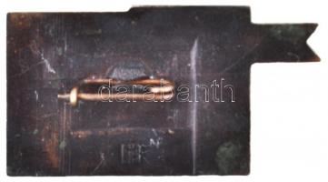 Szovjetunió ~1970. "1905 Patyomkin páncélos" Br jelvény (17x19mm) T:2
Soviet Union ~1970. ...