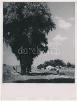 cca 1935 Reich Péter Cornel: Budapest, Óbuda, Acquincum, jelzetlen, feliratozott vintage fotó a szerző hagyatékából, 20x18 cm, papírméret 24x18 cm