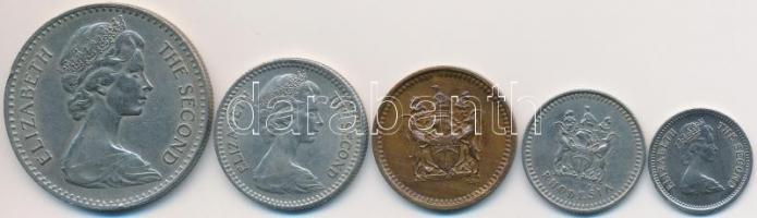 Rodézia 1964-1977. 1c-25c (5xklf) fémpénz T:2,2-
Rhodesia 1964-1977. 1 Cent - 25 Cents (5xdiff) meta...