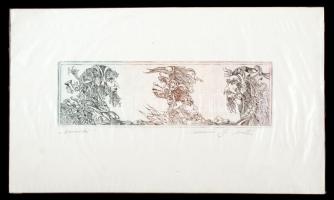 Kolozsvári G. Miklós (1950-): Szomszédok. Rézkarc, papír, jelzett, 8×28 cm