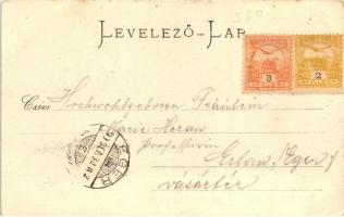 1899 Szolnok, Megyei székház; kiadja Fuchs Lipót és fia