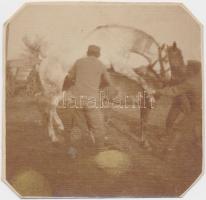 cca 1910 Katonai ló fedeztetése a hadsereg közreműködésével, 6x6 cm