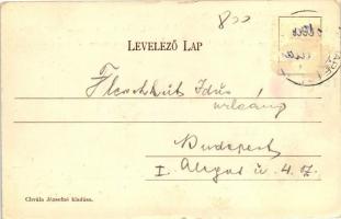 Budapest XI. Kelenföld vasútállomás; Chvála Józsefné kiadása (Rb)