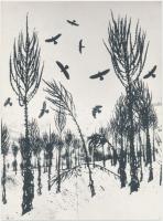 cca 1980 Gebhardt György (1910-1993): Varjak, jelzés nélküli vintage fotóművészeti alkotás a szerző hagyatékából, 24x18 cm