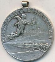 Románia 1913. "Második Balkán-háború Győzelmi Medál" Ag kitüntetés koszorúfüzér és mellsza...