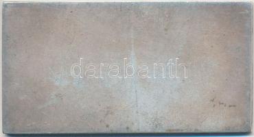 ~1930. "Országos Magyar Fox-terrier és Tacskó Tenyésztő Egyesület" ezüstözött Br plakett (...